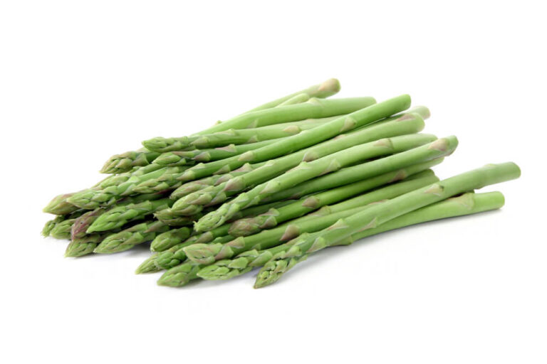 Can Dogs Eat Asparagus?