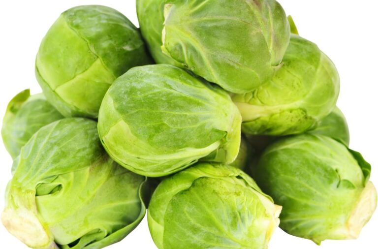 Can Dogs Eat Brussel Sprouts