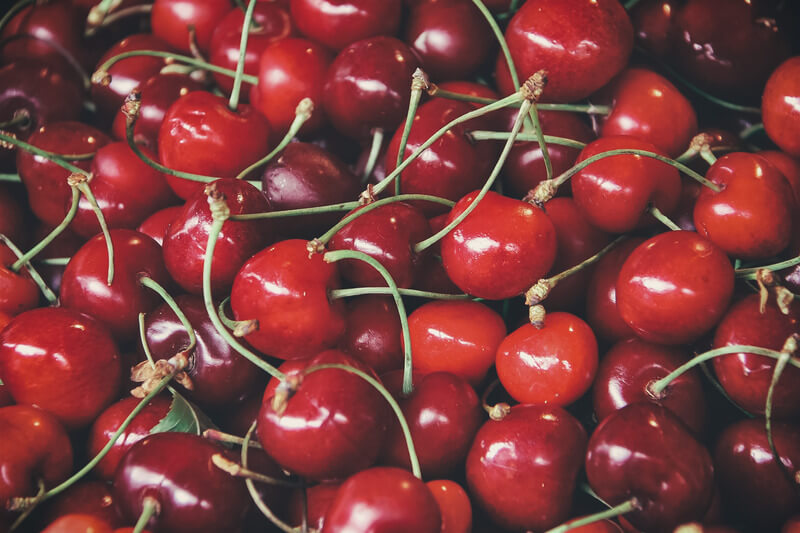 Can Dogs Eat Cherries?