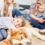 Best Dogs for Kids