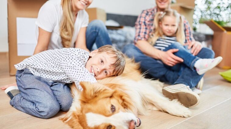 Best Dogs for Kids