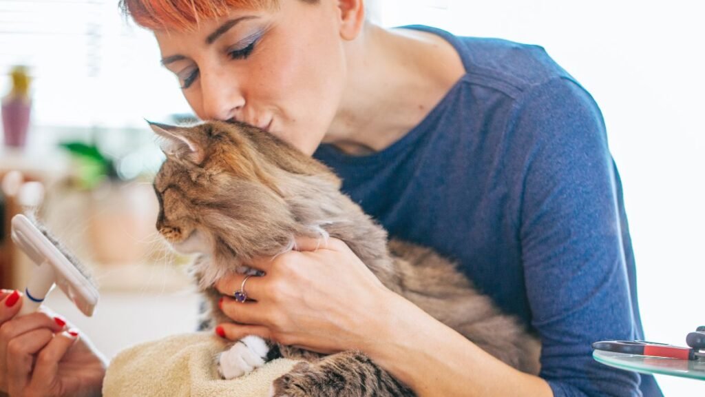 Cat Grooming