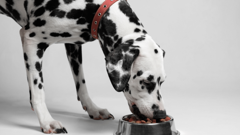 Can Dogs Eat Potatoes