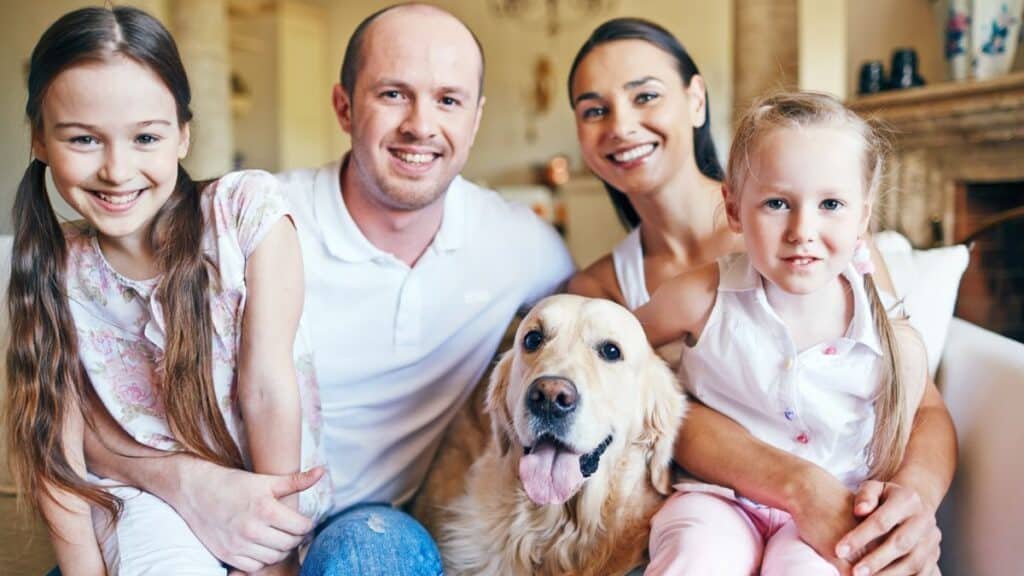How To Convince Your Parents To Get A Dog