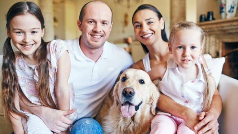 How To Convince Your Parents To Get A Dog