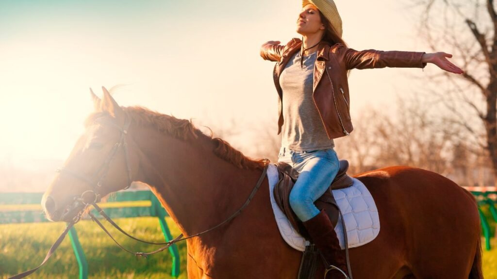horse sitting