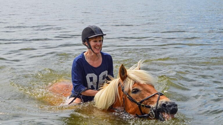 Can Horses Swim