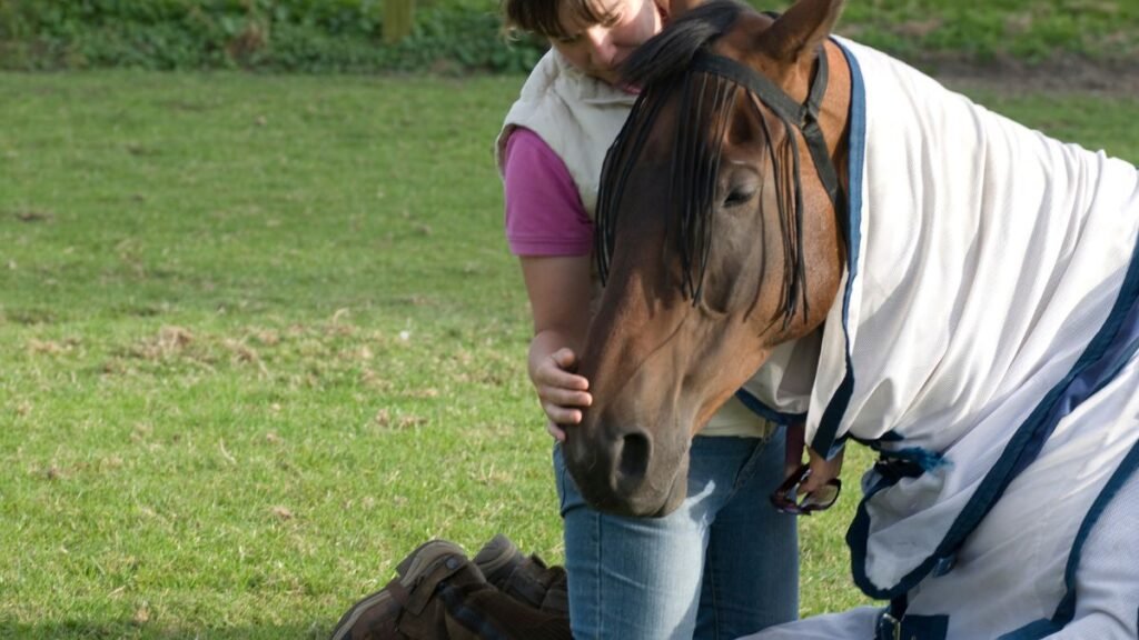 Colic in Horses Causes, Symptoms, and Treatment